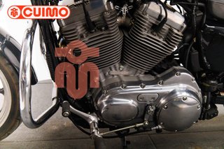 HARLEY DAVIDSON SPORTSTER 883 LOW