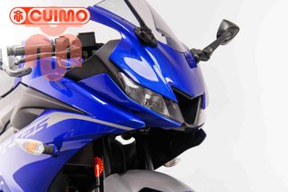 YAMAHA YZF R 125