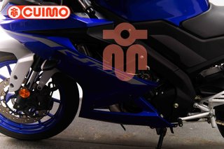 YAMAHA YZF R 125