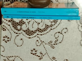 Lote libros Alfaguara Juvenil