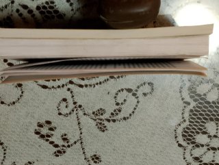 Lote libros Alfaguara Juvenil