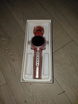 Micrófono Karaoke Eray con Altavoz Nuevo