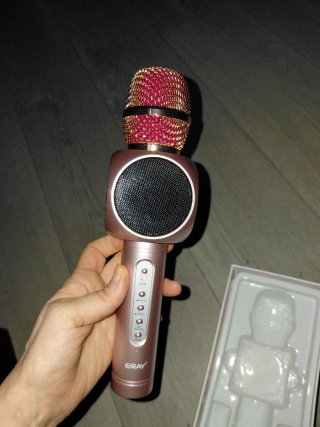 Micrófono Karaoke Eray con Altavoz Nuevo