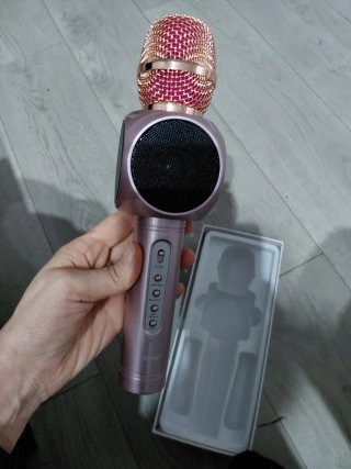 Micrófono Karaoke Eray con Altavoz Nuevo