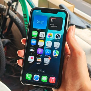 iPhone 11 Pro Max Gris 100% Bateria