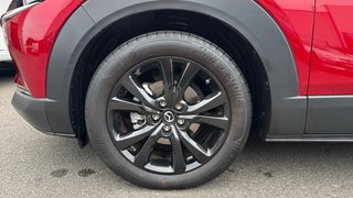 Mazda CX-30 (2022) e-SKYACTIV-G 2.0 150CV AT 2WD HOMURA
