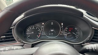Mazda CX-30 (2022) e-SKYACTIV-G 2.0 150CV AT 2WD HOMURA