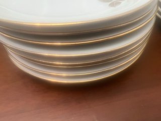 16 Platos MAH Vigo flores porcelana rebajada