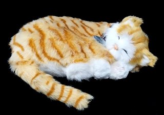 Lote 8 peluches variados