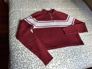 Jersey Hollister