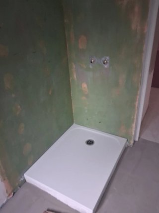 Paleta autonomo
