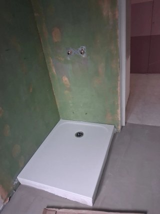Paleta autonomo
