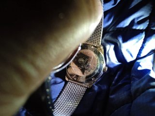 Reloj LOSAN GENEVE Automático Dorado