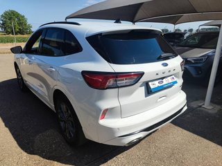 Ford Kuga 2.5 Duratec PHEV 165kW Auto