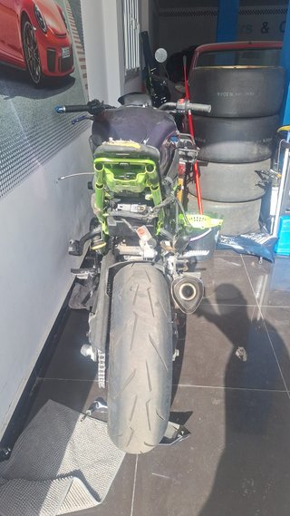 Kawasaki Z900 Performance 2022