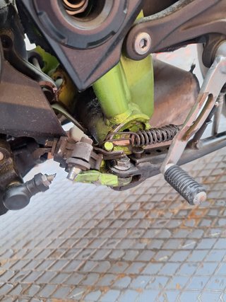 Kawasaki Z900 Performance 2022