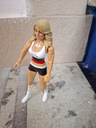 Action Figure WWE Diva