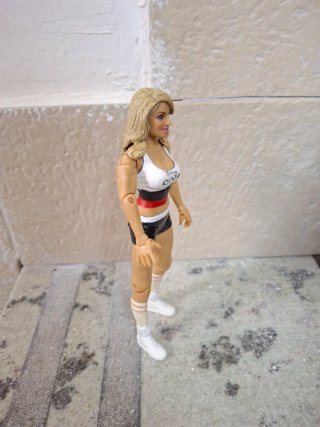 Action Figure WWE Diva