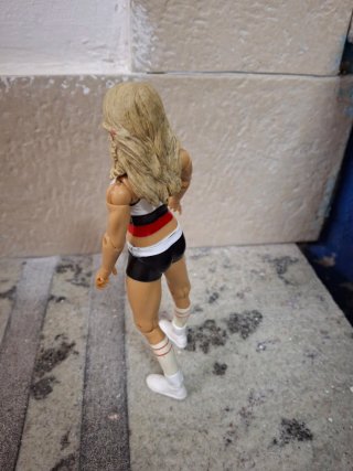 Action Figure WWE Diva
