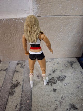 Action Figure WWE Diva