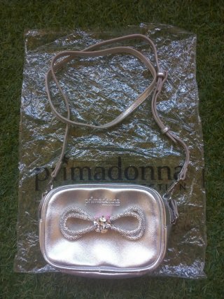 Pochette Primadonna Argento