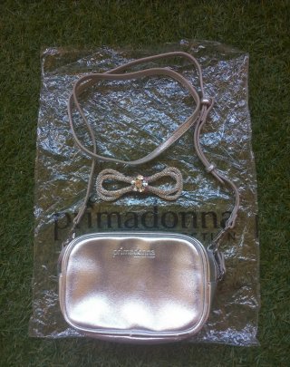Pochette Primadonna Argento
