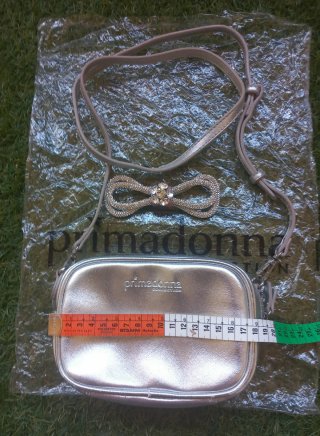 Pochette Primadonna Argento
