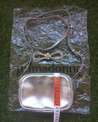 Pochette Primadonna Argento