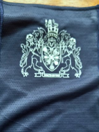 Camiseta Técnica Adidas Adizero Team GB París 2024