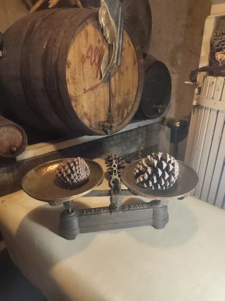 Balanza FUERZA 5 KILOS
