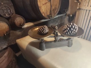Balanza FUERZA 5 KILOS