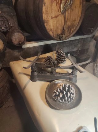 Balanza FUERZA 5 KILOS