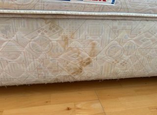 2 Canapés Flex 90 + 2 Colchones Beige