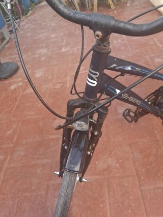 Bicicleta Paseo Rehberg