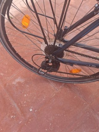 Bicicleta Paseo Rehberg