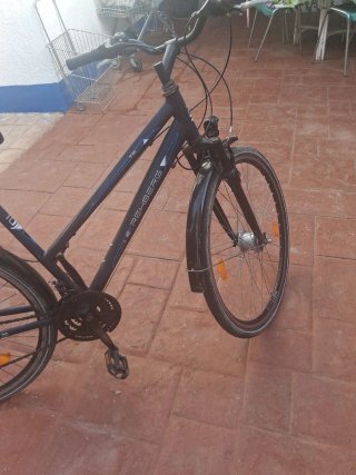 Bicicleta Paseo Rehberg
