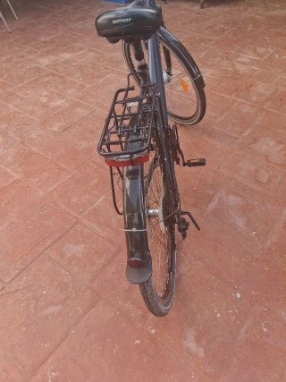 Bicicleta Paseo Rehberg