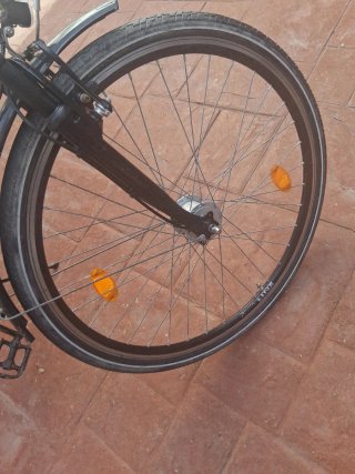 Bicicleta Paseo Rehberg