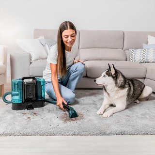 Aspiradora Limpiatapicerías Cecotec + 2 Baterías