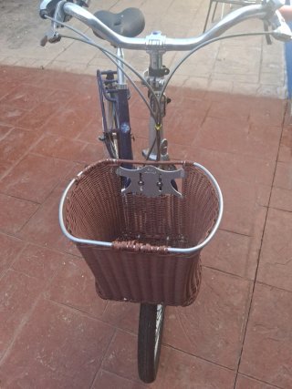Bicicleta Paseo Plegable Azul