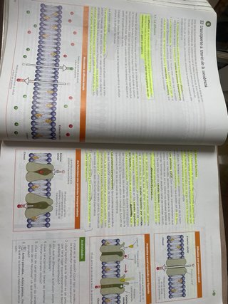 Biología 2 bachillerato, Operación Mundo