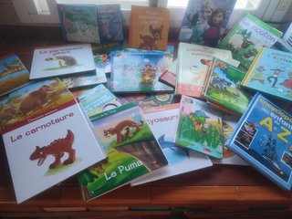 Libros infantiles en francés en perfecto estado