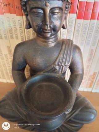 Estatua Buddha
