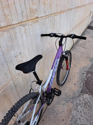 Bicicleta Conor 26