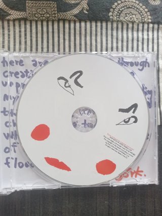 Bjork Army of Me versiones CD