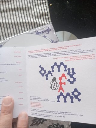 Bjork Army of Me versiones CD