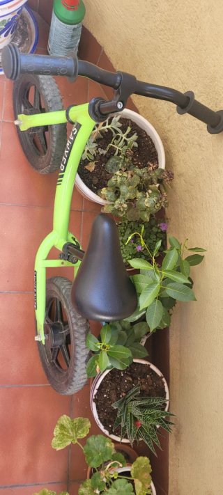 Bicicleta de balanceo Sawyer infantil