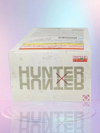 Figura Hunter x Hunter - Hunting Archives: Netero
