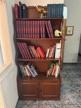 Estantería de madera con puertas