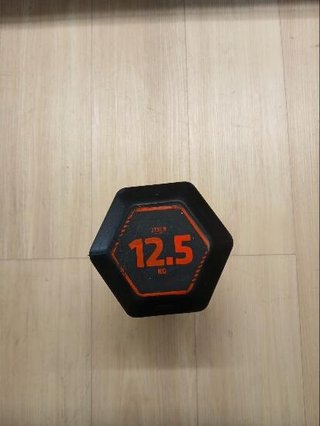 DUMBELL 12,5KG NEW
